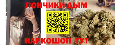 гидропоника Новодвинск