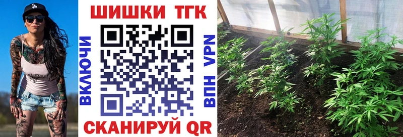 Шишки марихуана конопля  Находка 